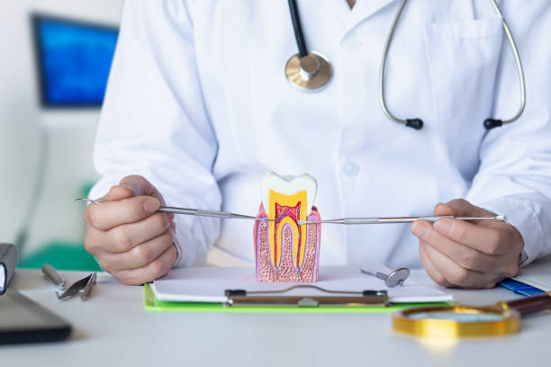 Best Orthodontic Emergency Dentist in Lower Lake, CA